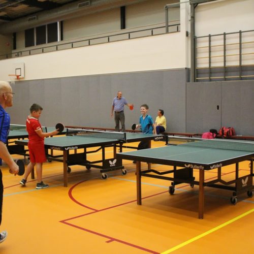 Tafeltennis bij TTV Borne